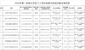 2022年贵州省第一批拖欠农民工工资失信联合惩戒对象名单